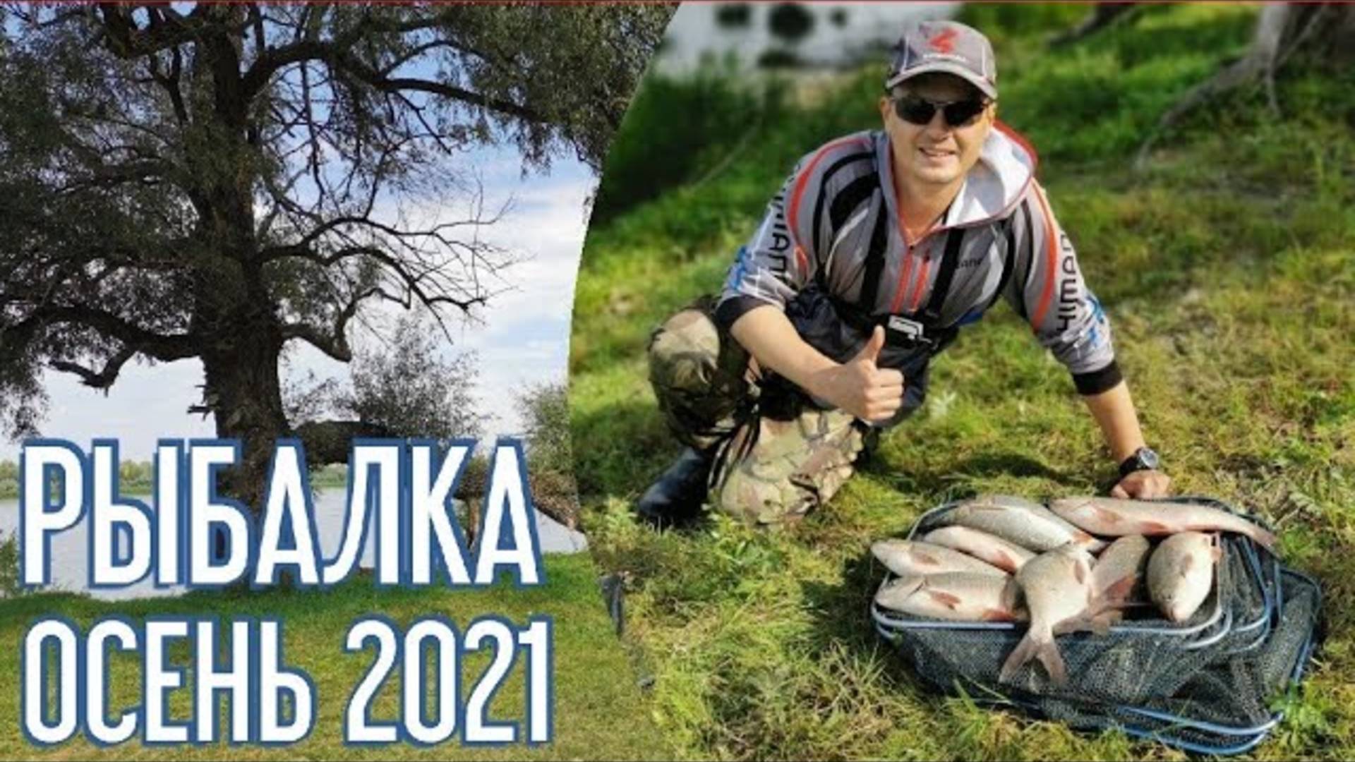 Рыбалка 2021. Ловля ЯЗЯ на ФИДЕР. Рыбалка на сильном течении смотреть онлайн