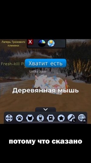 Частая и обидная ошибка новичков в Котах-Воителях