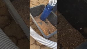 Роторная Вакуумная Самовсасывающая дробилка 7,5 кВт.mp4