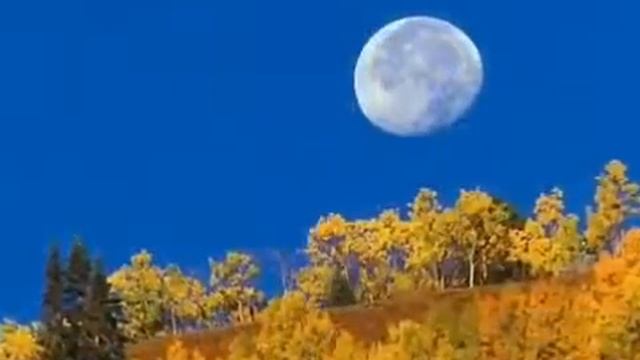 Золотая осень