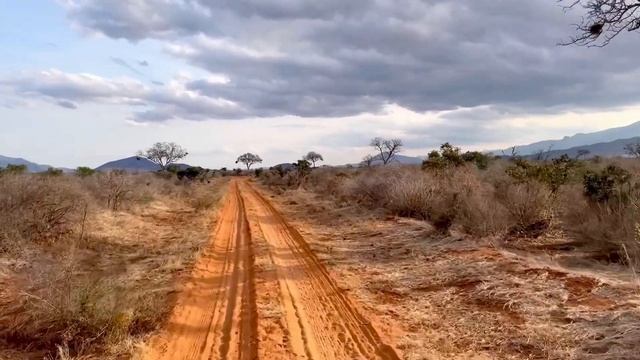 Тайны дикой природы: энциклопедия