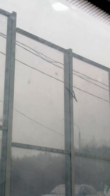 змея залезла на столб и застряла там😵😵 смотреть онлайн
