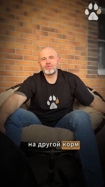 Собака не ест новый корм... почему? смотреть онлайн