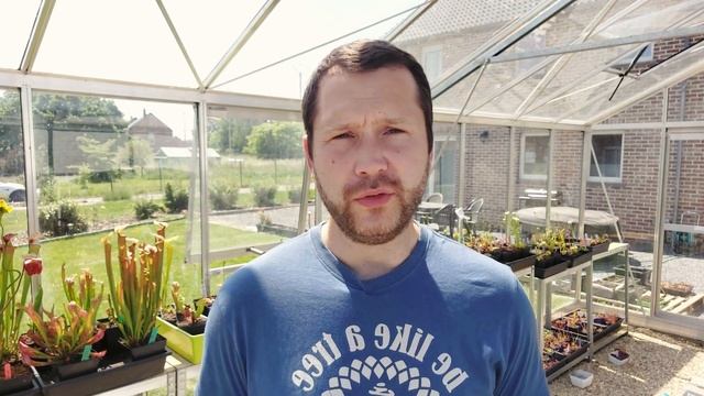 Pucerons VS Plantes Carnivores Débarrassez-vous de ces Nuggets Verts ! (Traitement Infaillible) смотреть онлайн