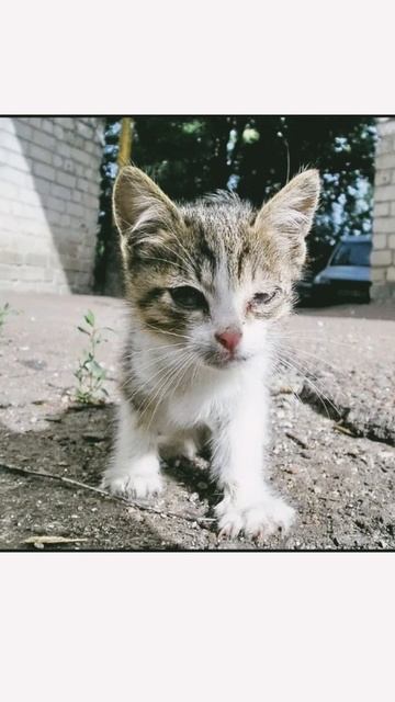 3 августа 2024 г. смотреть онлайн