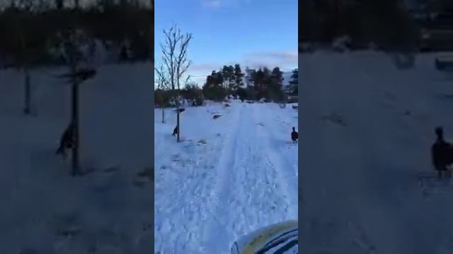 21 марта 2022 г. смотреть онлайн