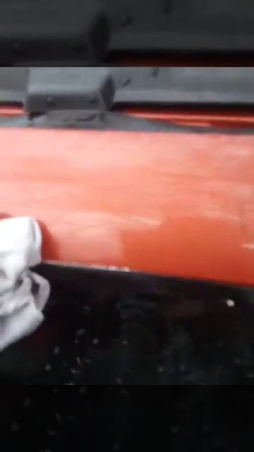 Защита ЛКП. Удаление птичьего помета смотреть онлайн