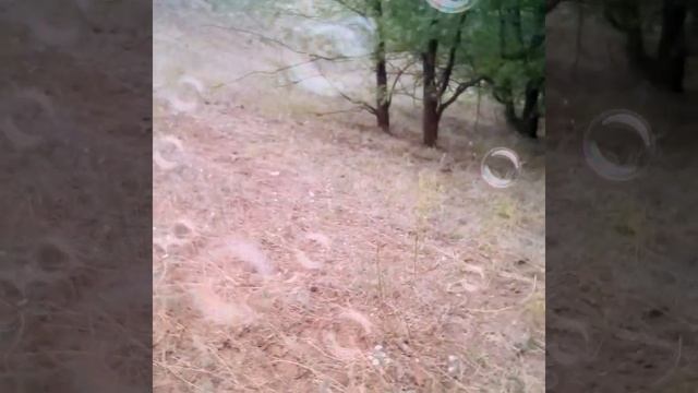 Красивый пейзаж , смотреть до конца!### смотреть онлайн