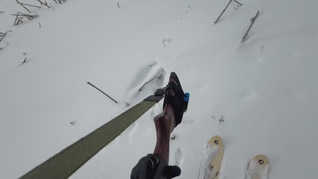 Охота на зайца
