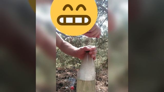 Раскурка Lemon Haze🤙🏻😎💨💨