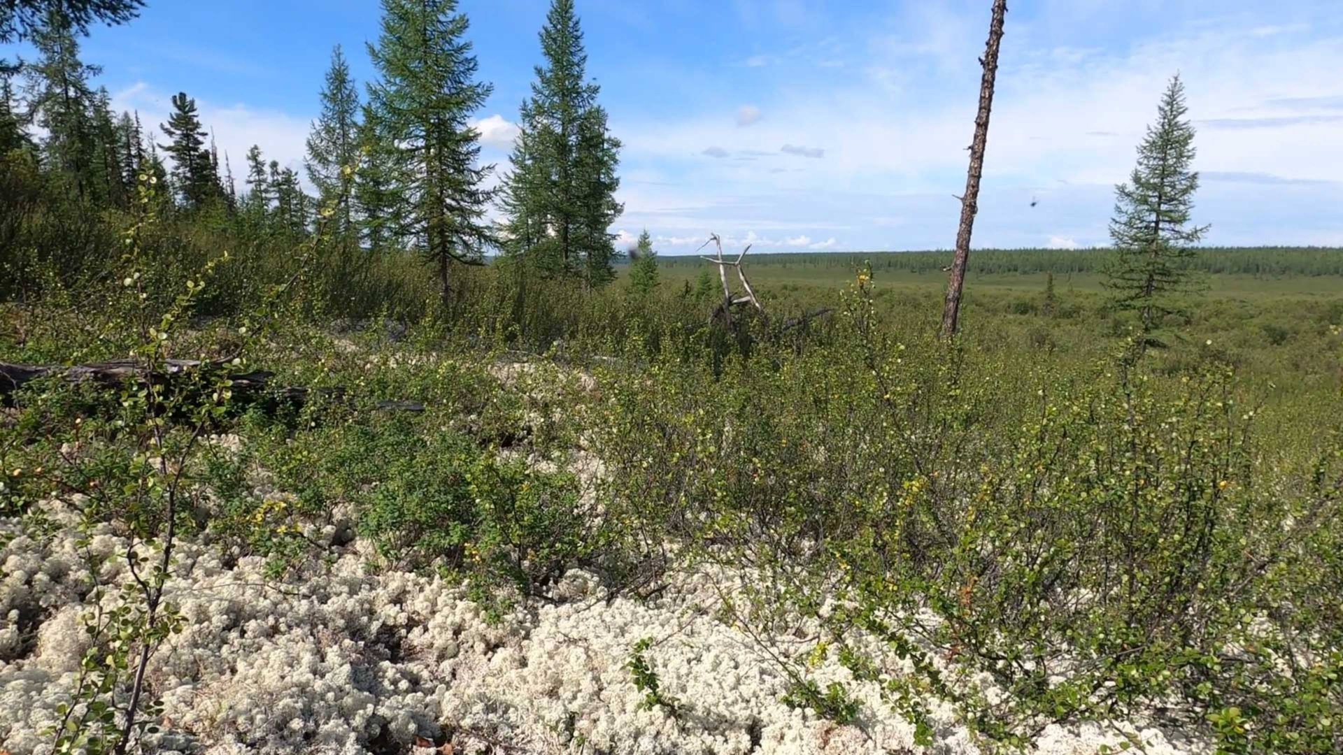 Ожерелья Джехангира ч.2 Перевал смотреть онлайн