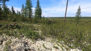 Ожерелья Джехангира ч.2 Перевал