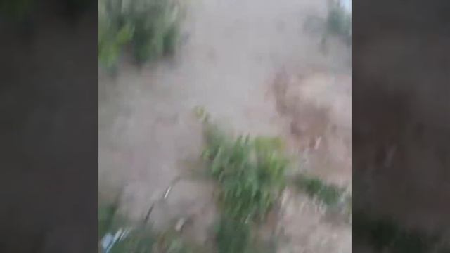 Шейновский карьер смотреть онлайн