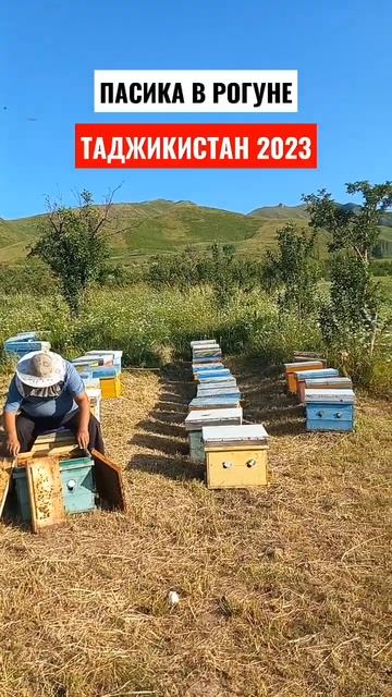 Пасика в Рогуне 2023 Таджикистан смотреть онлайн