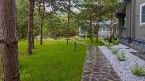 Благоустройство участка