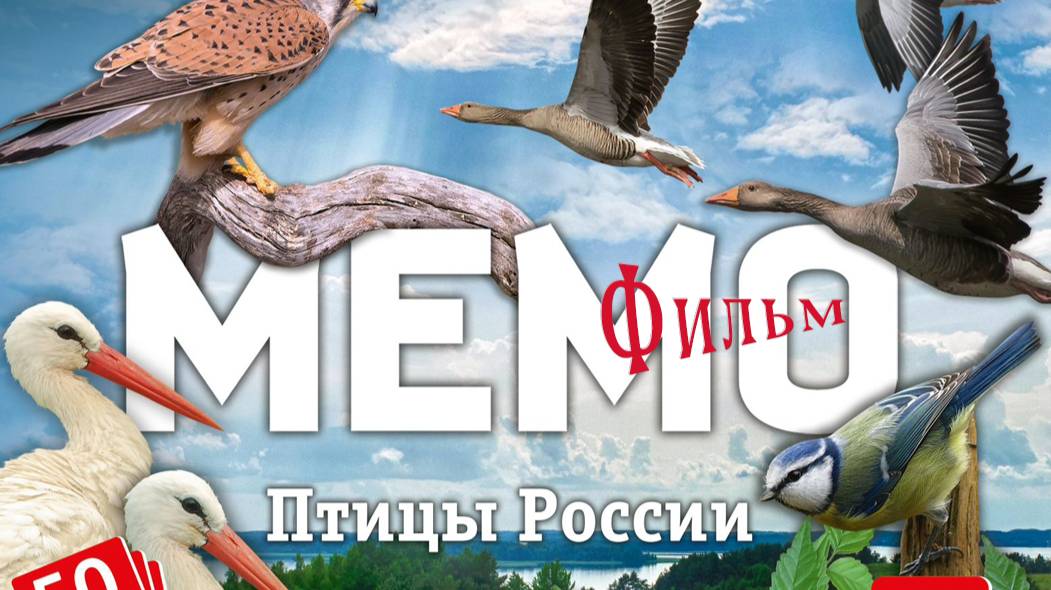 Фильм "Птицы России" смотреть онлайн