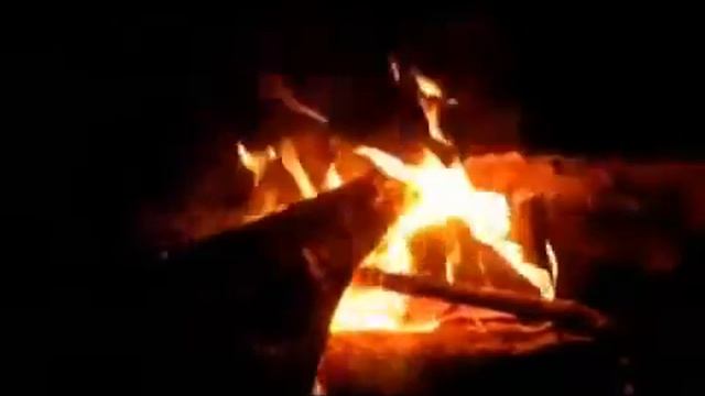 Александр Хамов   Табун