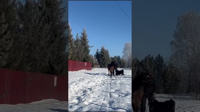 Жизнь в деревне смотреть онлайн