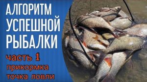Алгоритм успешной рыбалки на фидер. Часть 1. Прикормка и точка ловли.