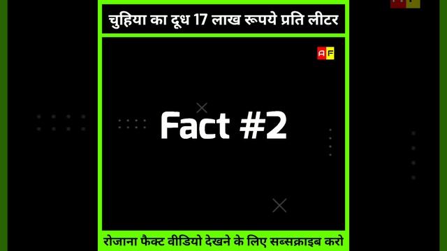 एक चूहें का दूध इतना महंगा की आपको यकीन नहीं होगा 😱 | #shorts #ytshorts | Ajeebo Facts смотреть онлайн