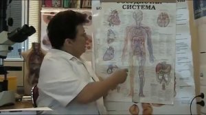 8. Профилактика заб-ий сердца и верхних дыхат.  путей.