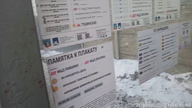 Зам главы города Красногорска ЗЕЛЕНЕВ не справляется со своими должностными обязанностями! смотреть онлайн