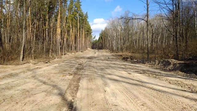 Песочный проспект Избицкое   Старица