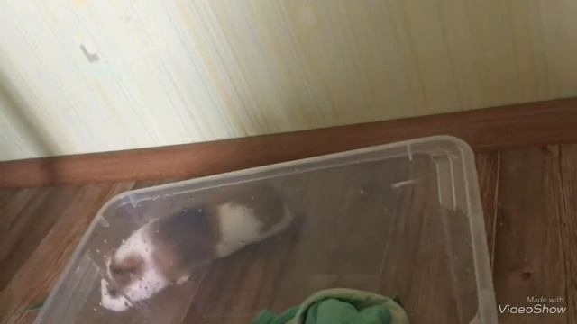 Влог/Уборка /Переезд