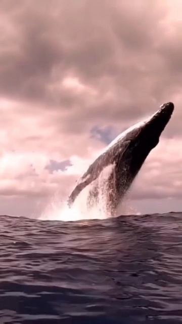 Море и волны