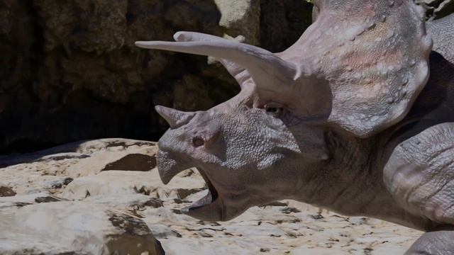 Triceratops vs Triceratops (Blender Animation) смотреть онлайн
