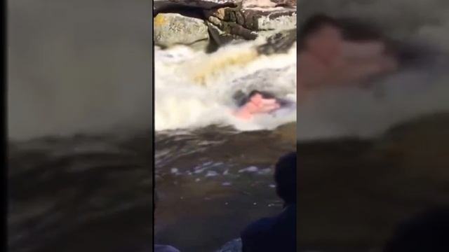 Открытие купального сезона на водопаде в Зеренде смотреть онлайн