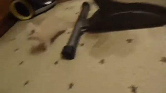 Котенок Тиша смотреть онлайн