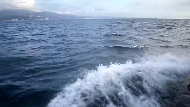 плыву,плыву по морям,по волнам... смотреть онлайн