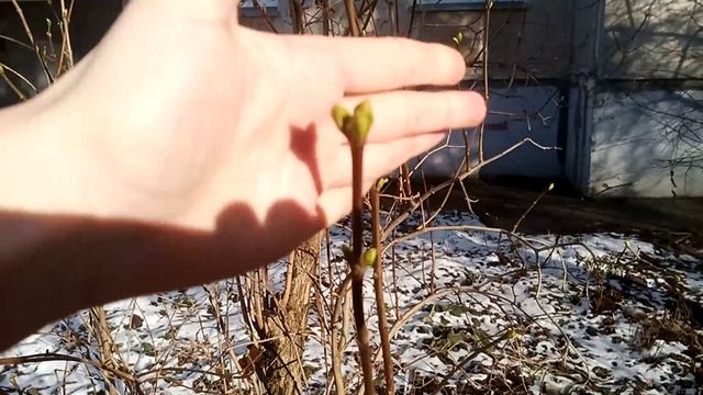 Весна... смотреть онлайн