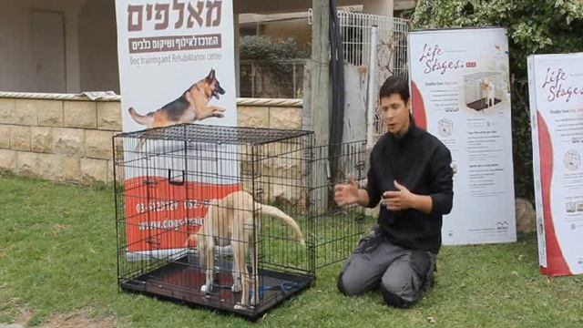 Как приучить собаку к клетке איך לאלף כלב לכלוב смотреть онлайн