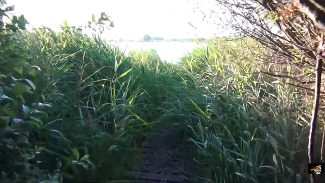 Высокополье Обзор сектора № 7 сессия 03. 07. 2017-7.07.2017года смотреть онлайн