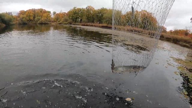 Рыбалка на реке Кия 01 10 23 смотреть онлайн
