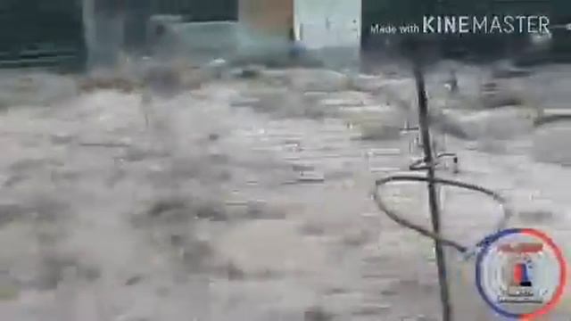 07.08.2017 ПРИМОРСКИЙ КРАЙ смотреть онлайн