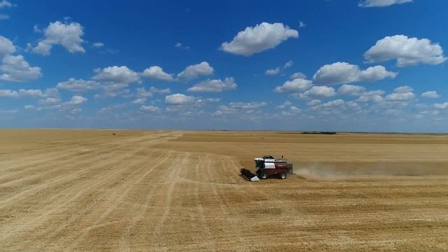 уборка 2018 смотреть онлайн