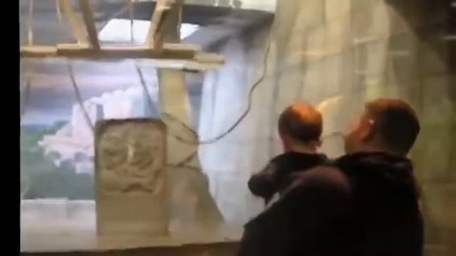 Дети в зоопарке/Реакция,Children are in zoo/Reaction смотреть онлайн