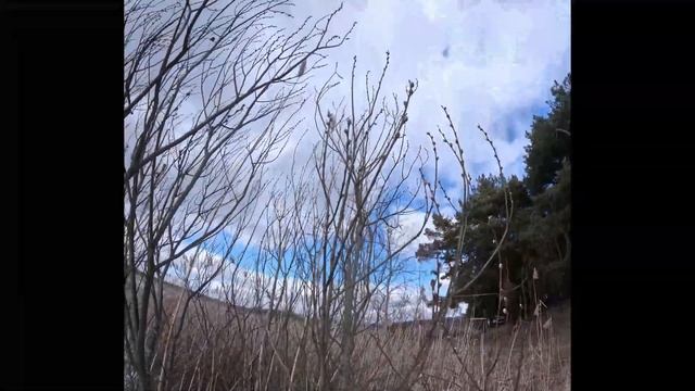 Отмечаем женский день. смотреть онлайн