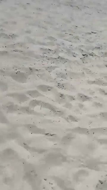 такие драки мы смотрим