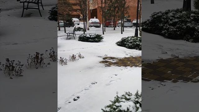 Зима в городе создаёт поэтическое настроение. Скоро ли весна наступит в Краснодаре. смотреть онлайн