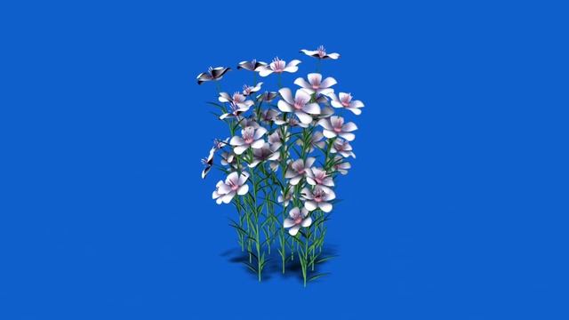 FREE! Blue Screen Flower Pack - Chroma Key - 1920x1080px - NO COPYRIGHT! смотреть онлайн
