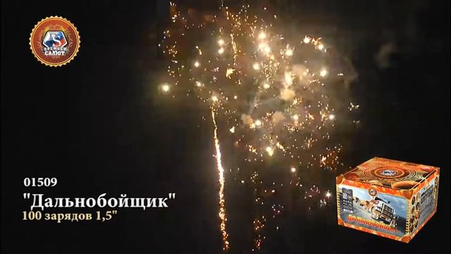 01509 Дальнобойщик смотреть онлайн