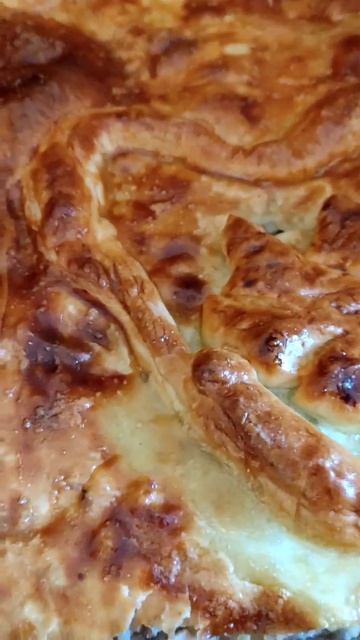 Пирог с мясом,рисом и луком,получился нормик!)#весна #еда #