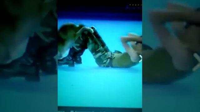 ОБУЧЕНАЯ СОБАКА смотреть онлайн