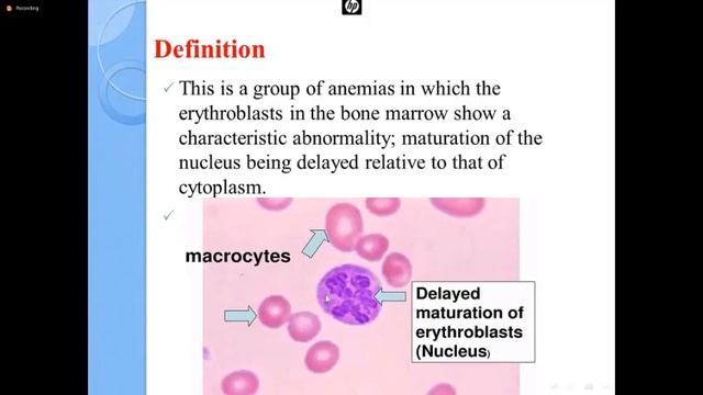 Hematopoietic Disorders I Anemia IDA & Megaloblastic Anemia смотреть онлайн
