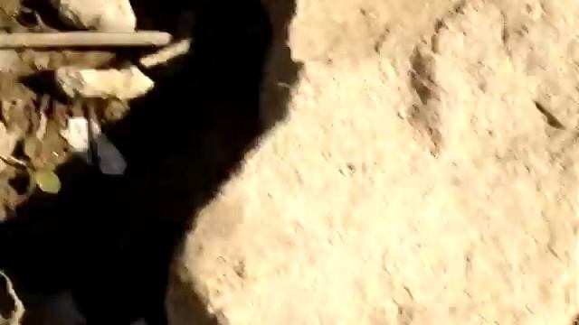 камни у реки смотреть онлайн