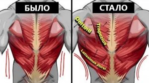 Полная тренировка спины-7 упражнений 🔥